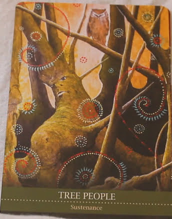 Shamanic Medicine Oracle Cards